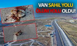 Van Sahil Yolu ölüm yolu oldu!