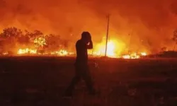 Diyarbakır ve Mardin'de anız yangını: Çok sayıda Ölü ve yaralı var!