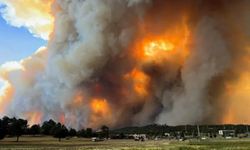 ABD'de hızla yayılan orman yangınları nedeniyle OHAL ilan edildi