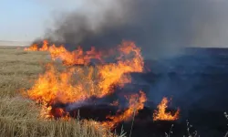 Şırnak'ta tarım arazilerinde  yangın devam ediyor