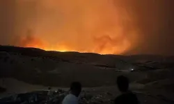 Diyarbakır ve Mardin'deki anız yangınında can kaybı artıyor