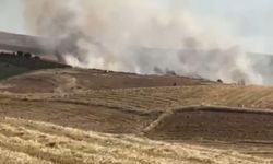 Diyarbakır'da 50 dönüm arazi alanı kül oldu!