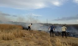 Malatya'da 10 dönüm ekili alan yandı