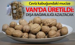 Van'da ceviz kabuğundan üretildi: Dışa bağımlılığı azaltacak