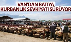 Van'dan batıya kurbanlık sevkiyatı sürüyor