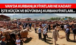 Van’da kurbanlık fiyatları ne kadar? İşte küçük ve büyükbaş kurban fiyatları…