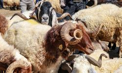 Edremit'te kurban kesim yerleri belli oldu