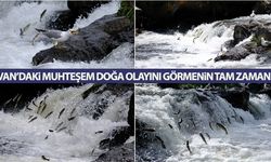 Van’daki muhteşem doğa olayını görmenin tam zamanı