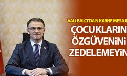 Van Valisi Balcı'dan karne mesajı