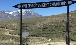 Van’da orman da yok etkinlik alanı da…
