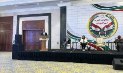 Mısır'ın başkenti Kahire'de Sudan kriz konulu konferans düzenlendi