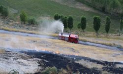 Van Çavuştepe Kalesi'nde yangın