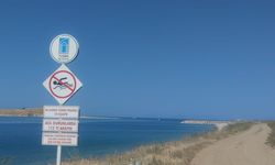 Van Gölü az kalsın iki can daha alıyordu