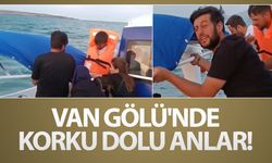 Van Gölü'nde korku dolu anlar!