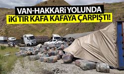 Van-Hakkari yolunda iki tır kafa kafaya çarpıştı!