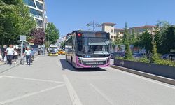 Van Bahçesaray Otobüs Saatleri! Mor otobüs Van