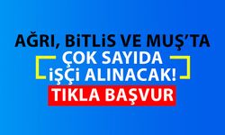 Ağrı, Bitlis ve Muş’ta çok sayıda işçi alınacak! Tıkla Başvur