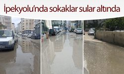 İpekyolu’nda sokaklar sular altında