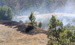 Tunceli'de ormanlık alanda çıkan yangın kontrol altına alındı