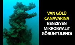 Van Gölü Canavarına benzeyen mikrobiyalit görüntülendi