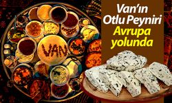 Van Otlu Peyniri Avrupa yolunda