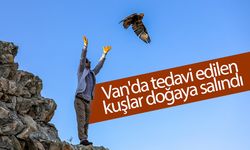 Van'da tedavi edilen kuşlar doğaya salındı