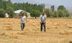 Hakkari’nin 2 Köyünde büyük başarı! 2 öğrenci Tıp Kazandı