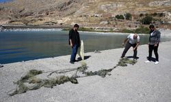 Van Gölü'nde Dalgıçlar 300 metre Hayalet Ağı Temizledi