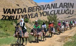 Van'da berivanların zorlu yayla yolculuğu