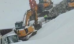 Van'da kar etkili oldu, yollar kapandı