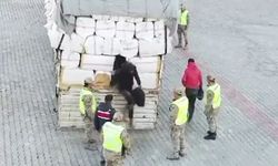 Van'da saman yüklü tırdan 36 göçmen çıktı!