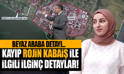 Kayıp Rojin Kabaiş ile ilgili ilginç detaylar!