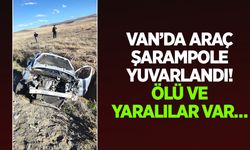 Van’da araç şarampole yuvarlandı! Ölü ve yaralılar var…