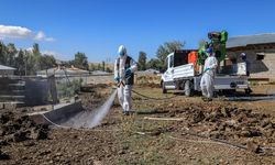 Van'da 4 bine yakın ahır ilaçlandı