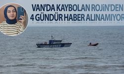 Van'da kaybolan Rojin'i arama çalışmaları 4. gününde