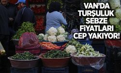 Van’da turşuluk fiyatları cep yakıyor!