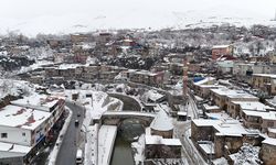 Bitlis merkez ve ilçelerinde elektrik kesintisi: İşte etkilenecek bölgeler