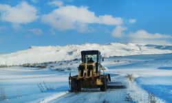 Van'da 2 gündür kapalı olan yollar ulaşıma açıldı