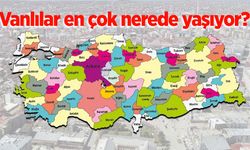 Vanlılar en çok nerede yaşıyor?