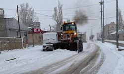 Van, Muş, Hakkari ve Bitlis'te kar yağışı yaşamı olumsuz etkiledi