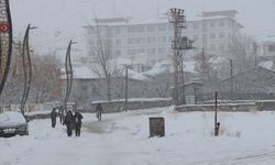 Meteoroloji Van'ın doğu ilçelerini Uyardı!