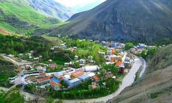 Çatak’ın nüfusu ne kadar?