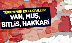 Van, Muş, Bitlis ve Hakkari Türkiye’nin en düşük gelirli illeri...