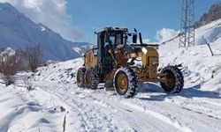 Şırnak'ta kar nedeniyle kapanan yollar ulaşıma açıldı