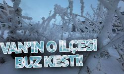 Van’ın o ilçesi buz kesti!