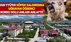 Van YYÜ’de köpek saldırısına uğrayan öğrenci korku dolu anları anlattı!