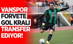 Vanspor, forvete gol kralı transfer ediyor!