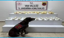 Van’da zehir tacirlerine darbe!