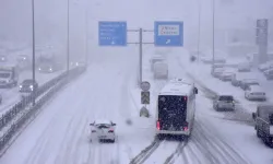 Van'da kar yağışı etkili oldu!