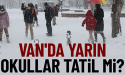 Van'da yarın okullar tatil mi?